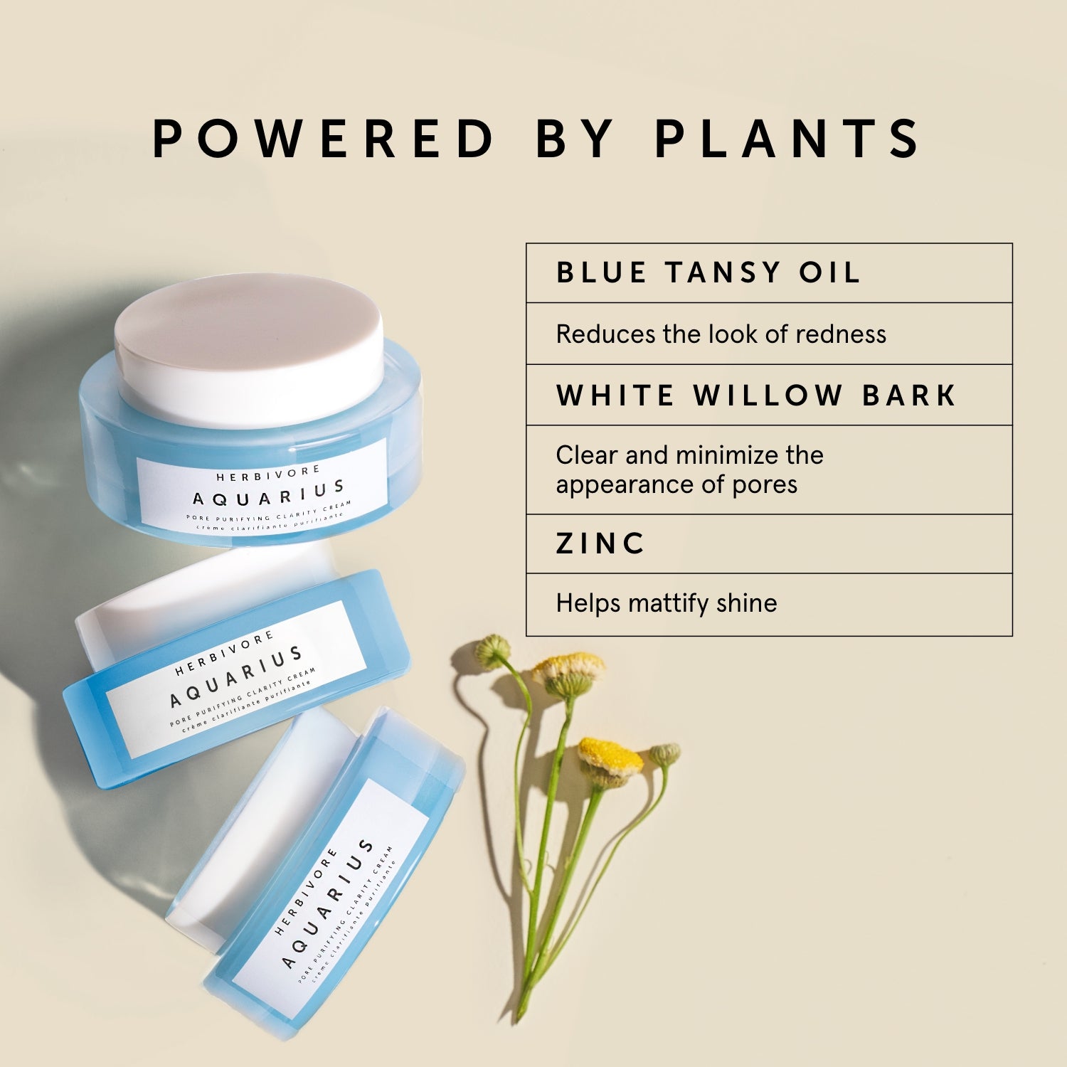 AQUARIUS Pore Purifying Clarity Cream | Herbivore Botanicals