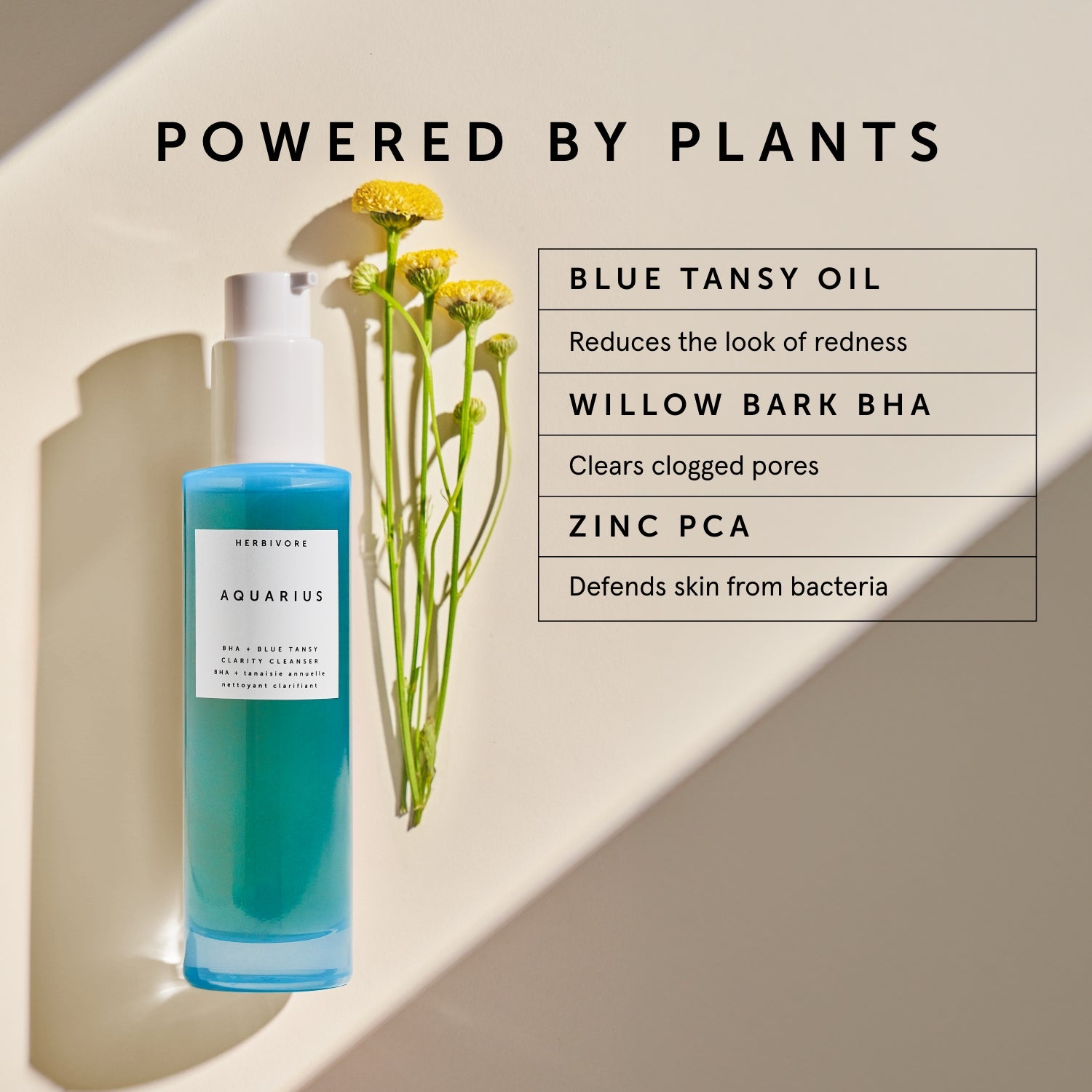 AQUARIUS BHA + Blue Tansy Clarity Cleanser | Herbivore Botanicals