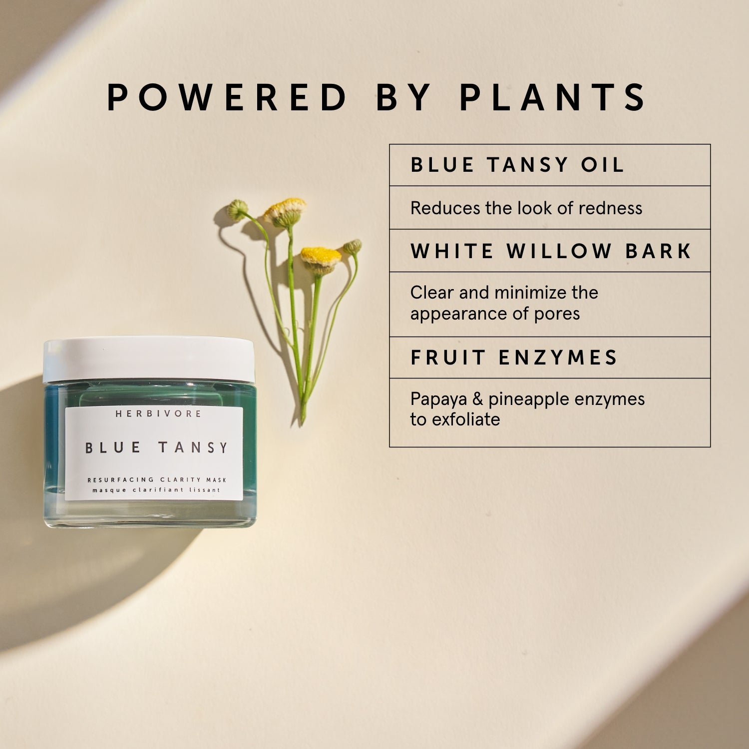 BLUE TANSY Invisible Pores Resurfacing Clarity Mask | Herbivore Botanicals