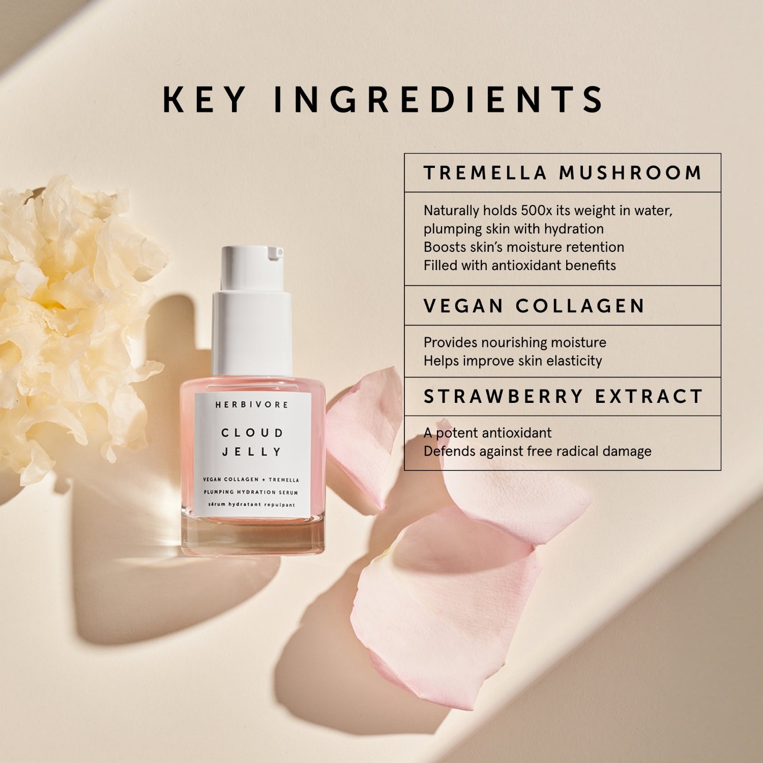 CLOUD JELLY Pink Plumping Hydration Serum | Herbivore Botanicals