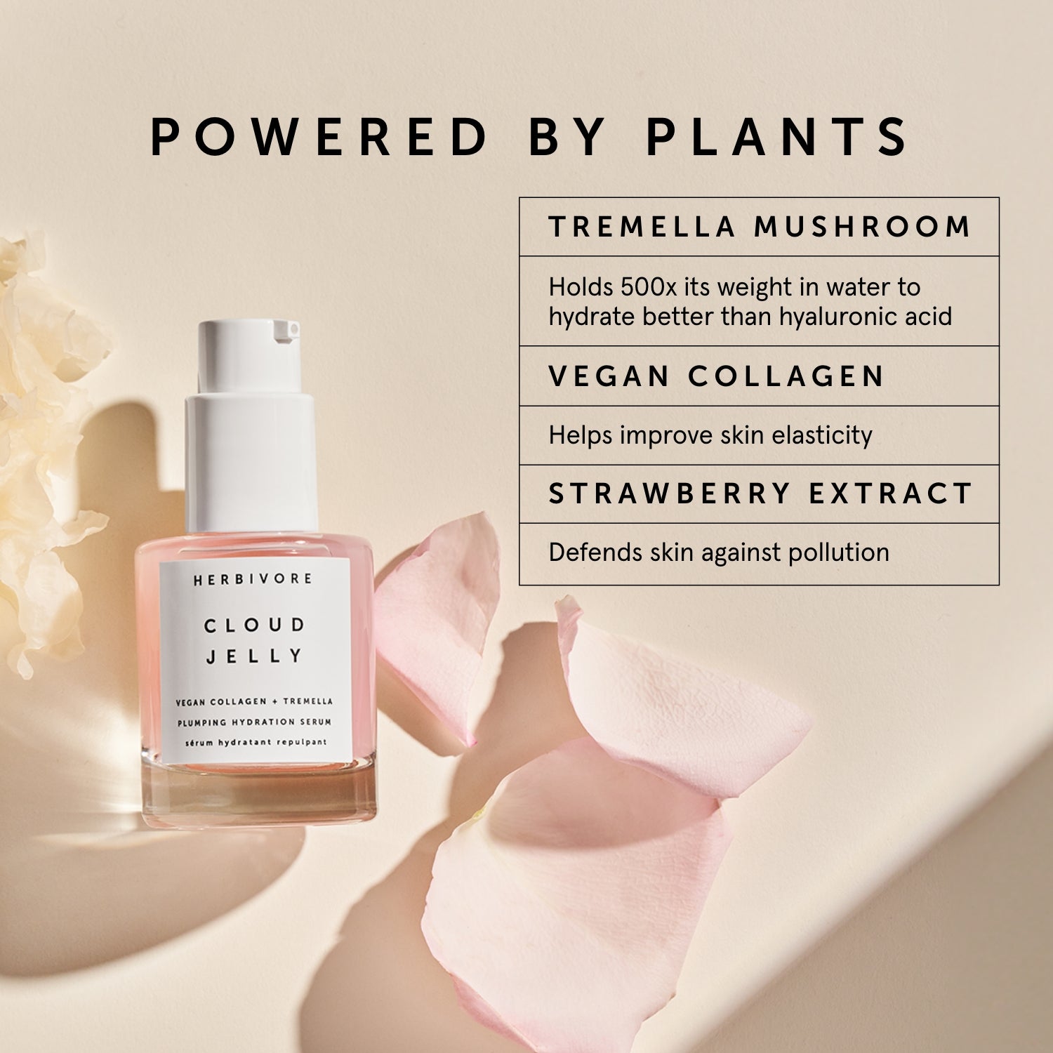 CLOUD JELLY Pink Plumping Hydration Serum | Herbivore Botanicals