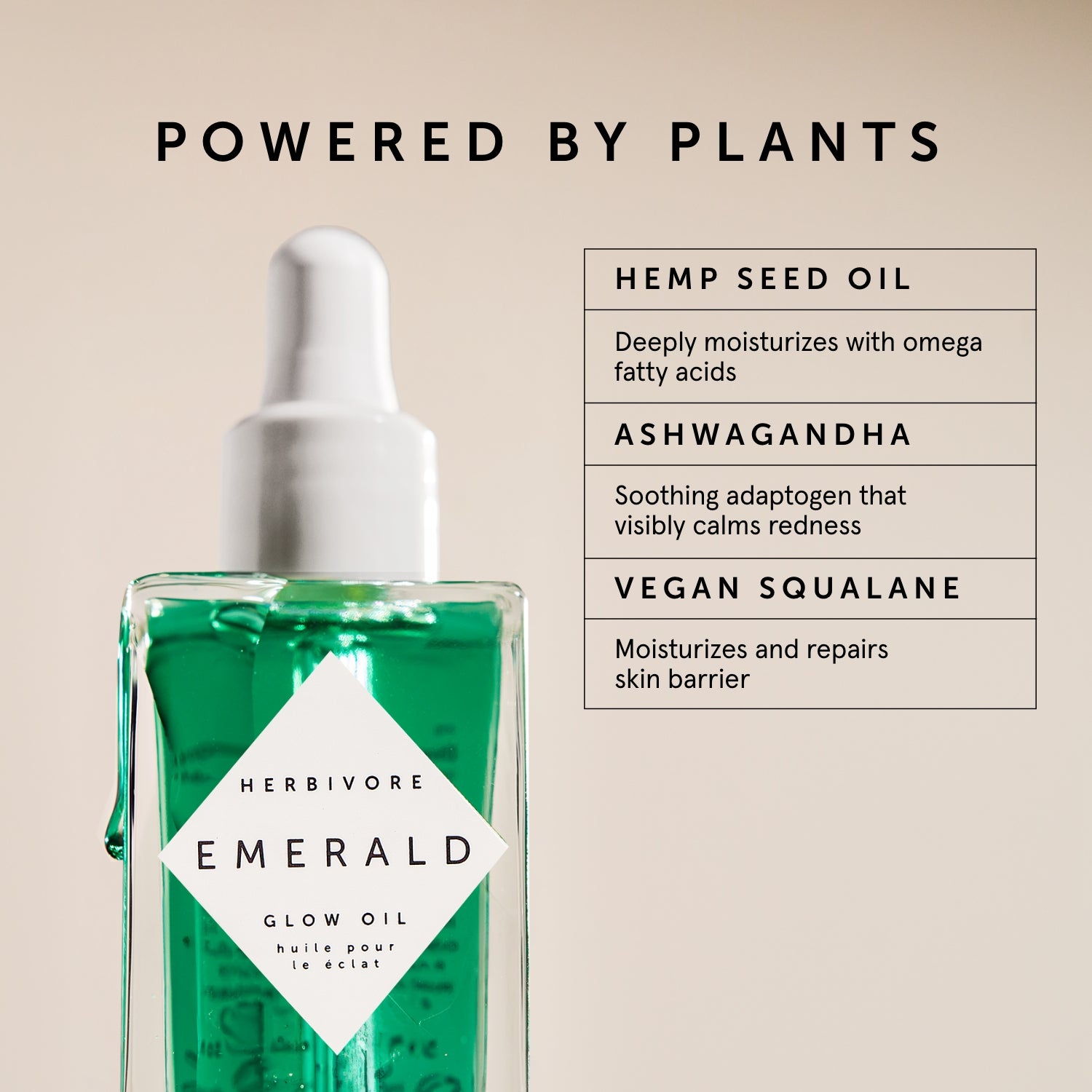 Emerald Deep Moisture Glow Facial Oil | Herbivore Botanicals