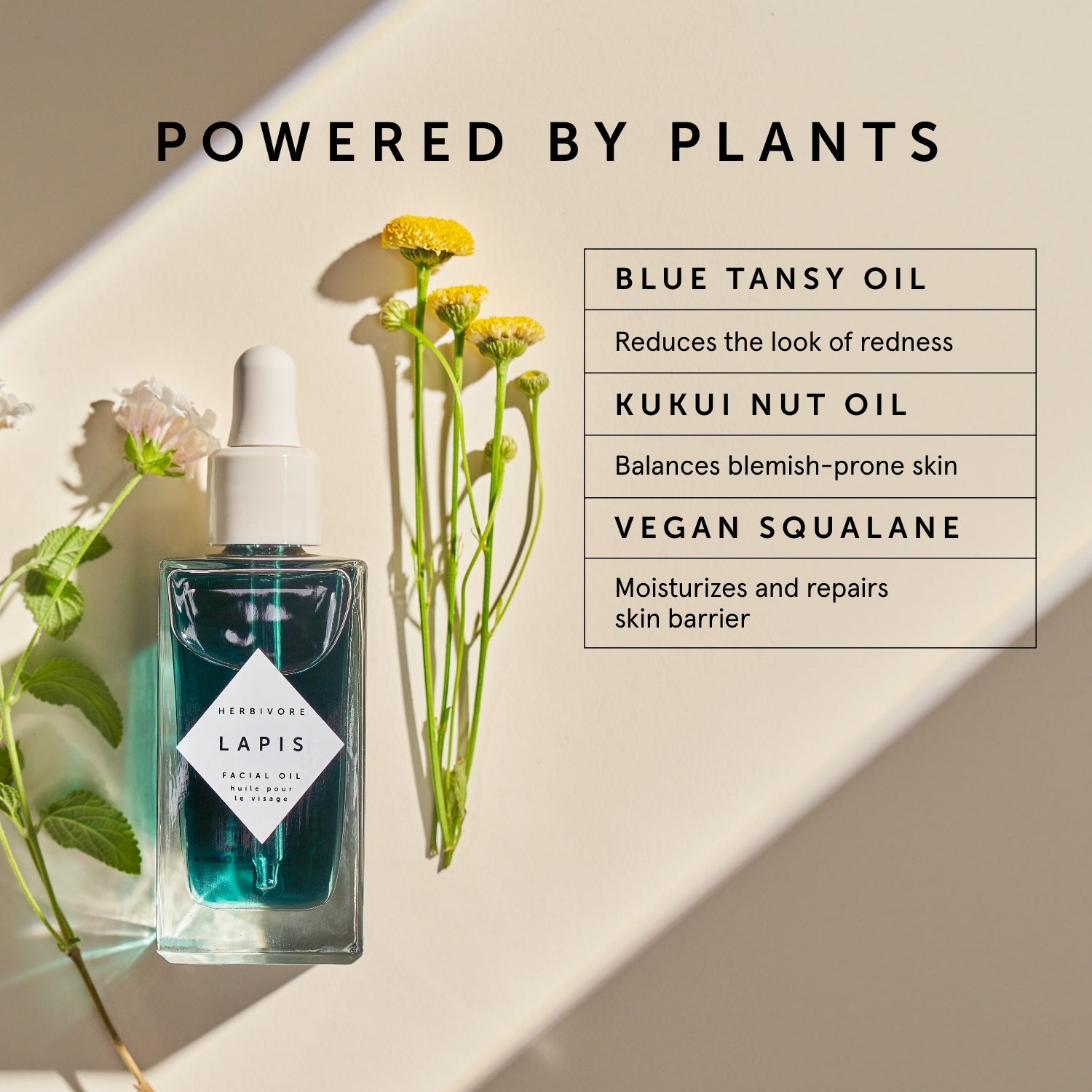 LAPIS Blue Tansy Face Oil - For Oily & Acne-Prone Skin | Herbivore Botanicals