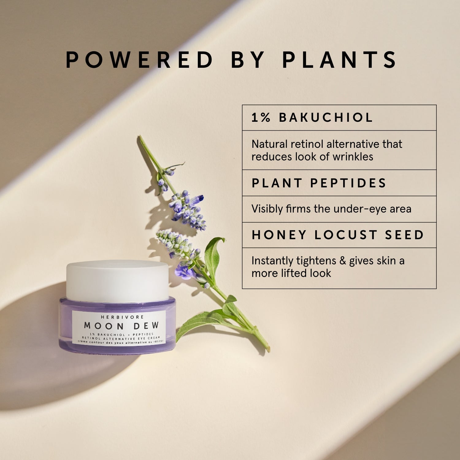 MOON DEW 1% Bakuchiol + Peptides Retinol Alternative Firming Eye Cream | Herbivore Botanicals