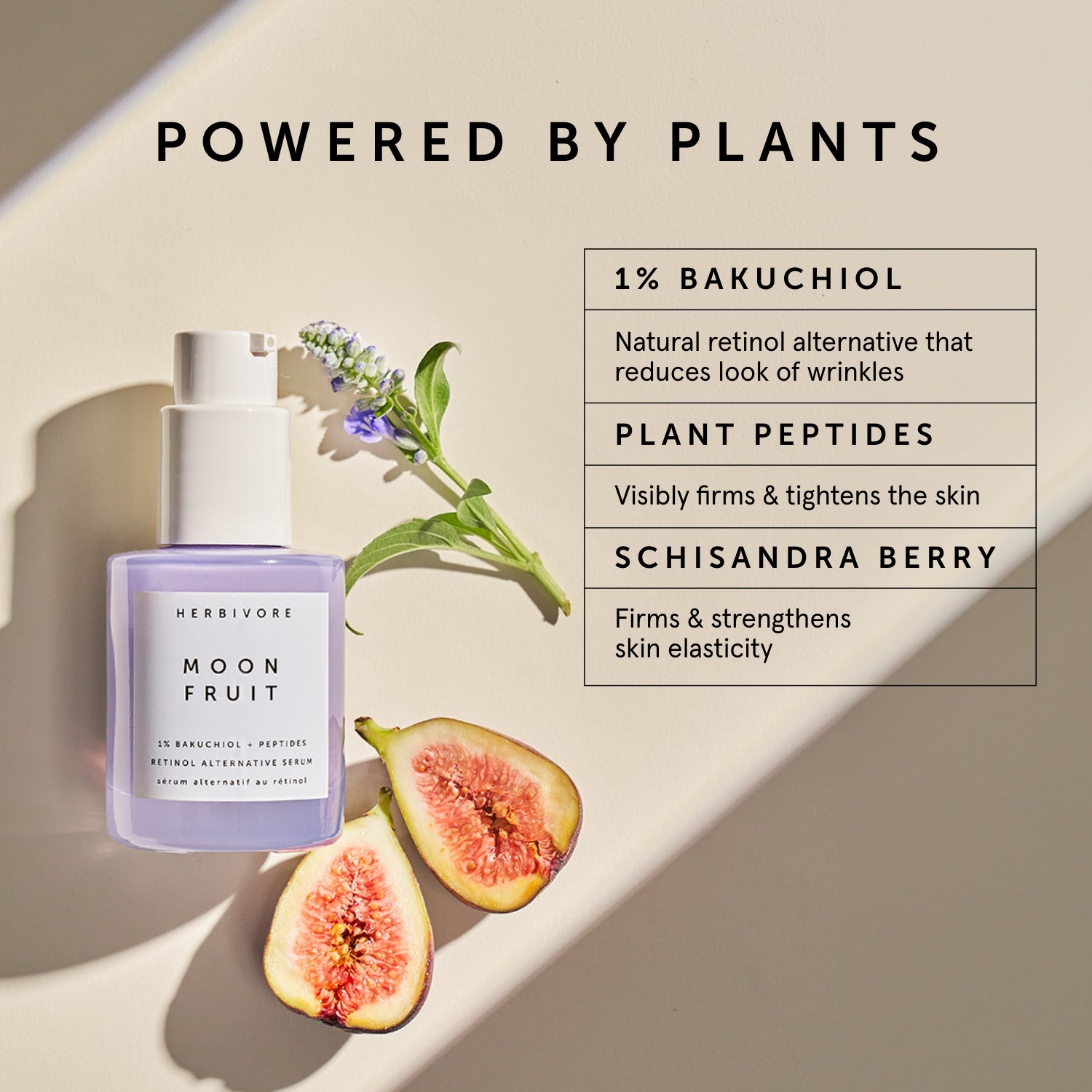 MOON FRUIT 1% Bakuchiol + Peptides Retinol Alternative Serum | Herbivore Botanicals