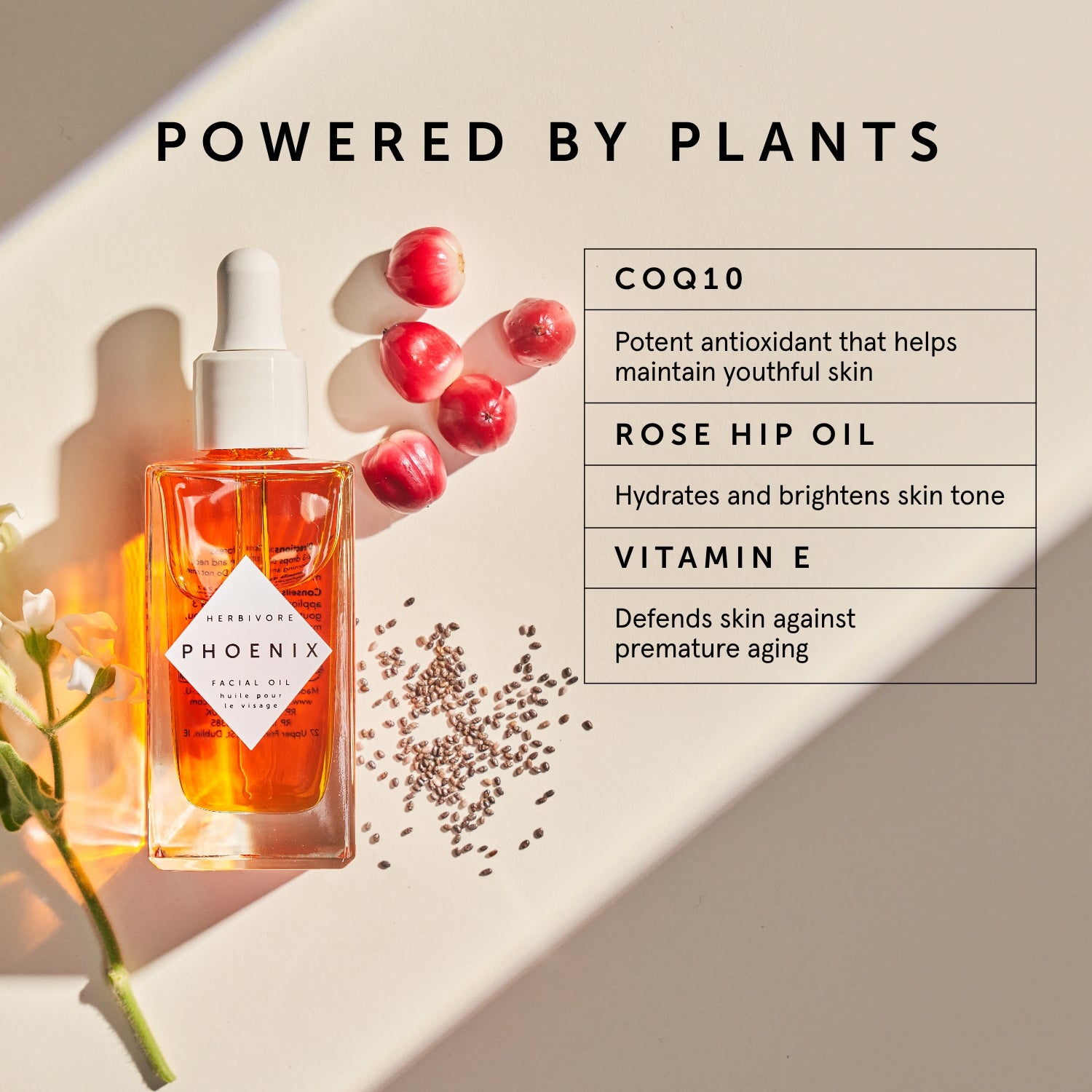 PHOENIX Rosehip Anti-Aging Face Oil - For Dry Skin | Herbivore Botanicals