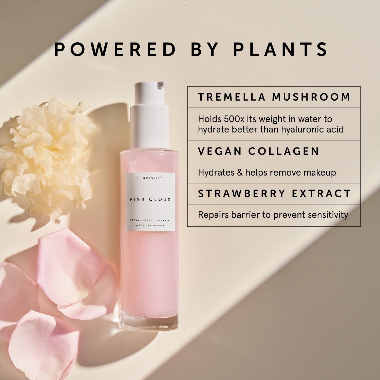 PINK CLOUD Rosewater + Tremella Creamy Jelly Cleanser | Herbivore Botanicals