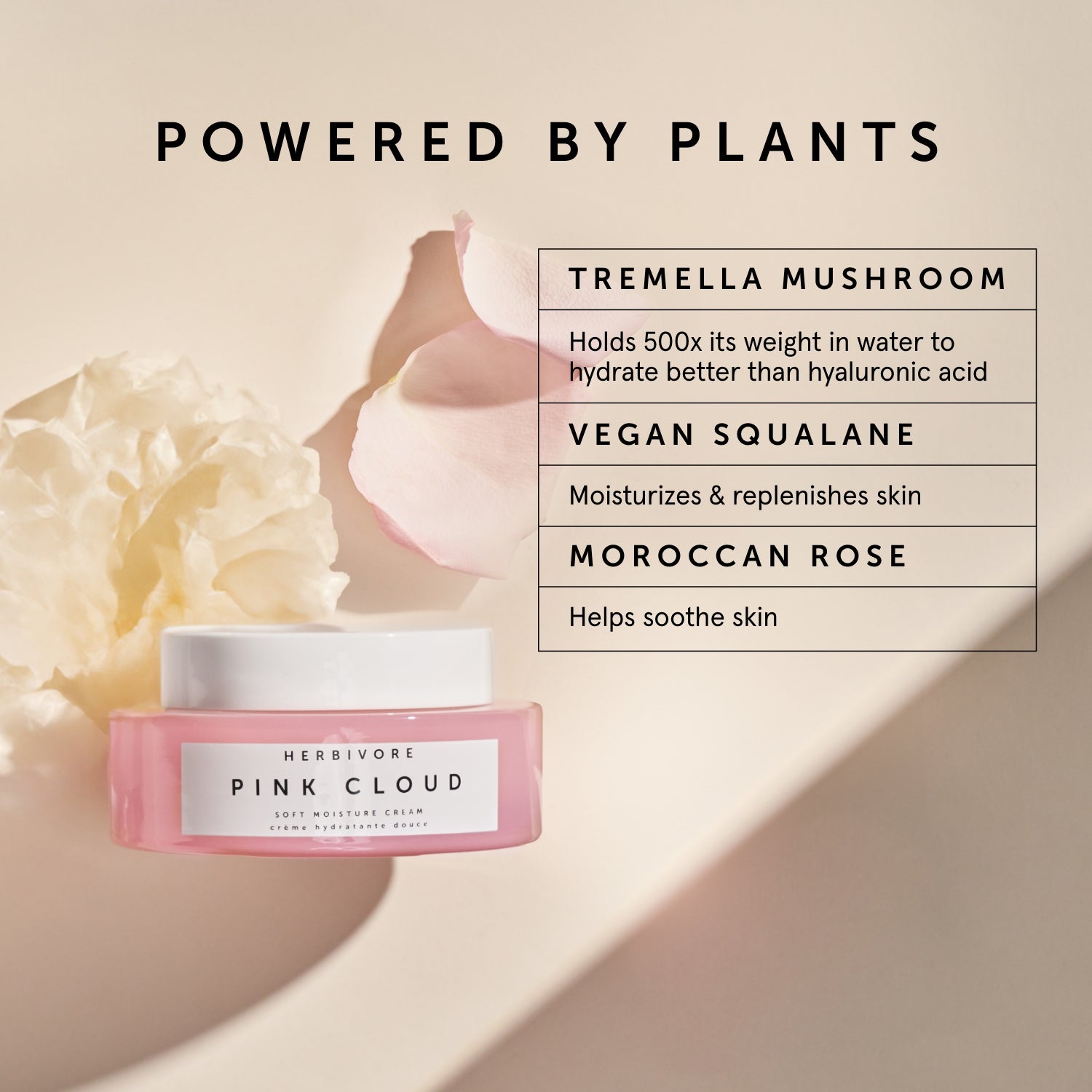 Pink Cloud Hydrating Moisture Cream | Herbivore Botanicals